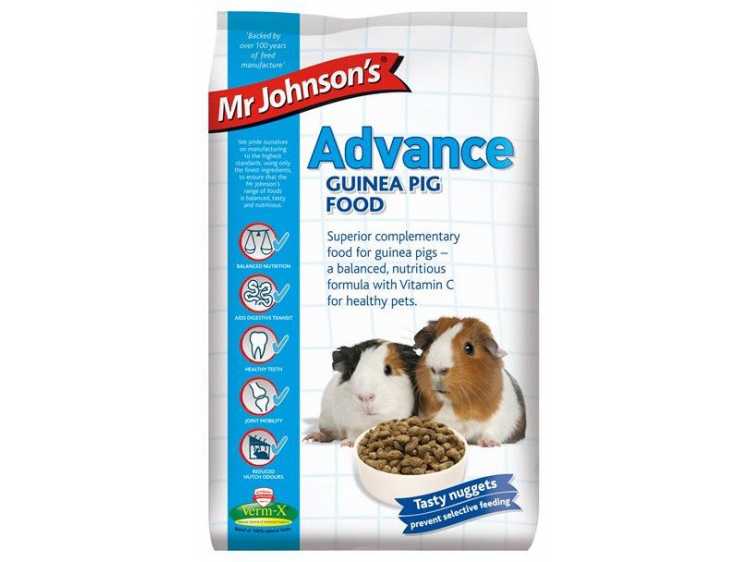 Mr. Johnson's Advance - Guinea Pig