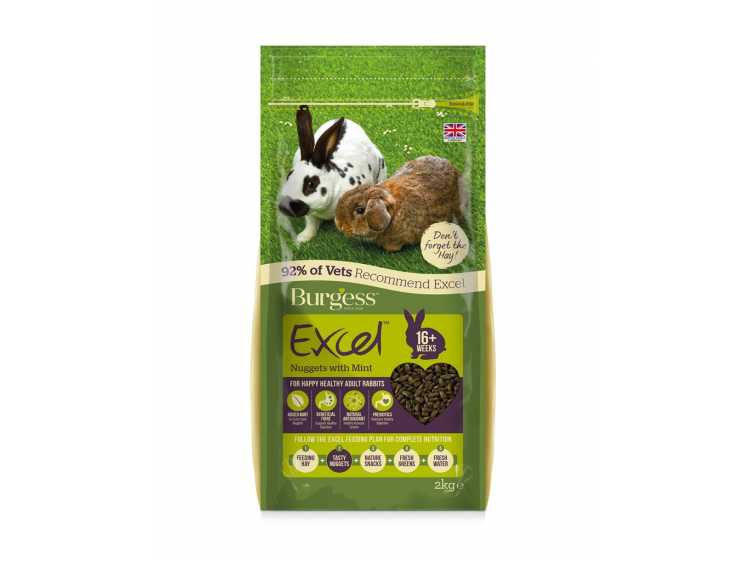 Excel Adult Rabbit - Mint