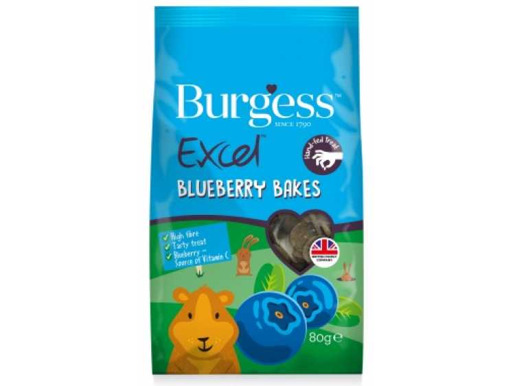 Excel Blueberry Bakes